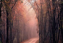 龙8体育：【原创】精准足球预测：周日002意甲-热那亚VS帕尔马.