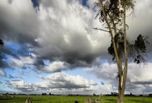 龙8体育：周鵬：球傳遞不夠流暢 內線缺乏衝擊力是我們的老問題.