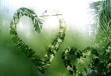 世预赛前瞻：杭州“大莲花” 期待“中国红.