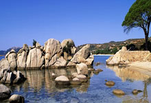 五大联赛直塞榜：吉马良斯&奥利塞11次 切尔基&维尔茨&厄德高10次.